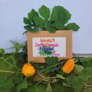 Naturally B Corilla/Cerasee-Neem-Soap – Organic, all Natural