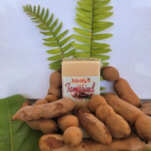 Naturally B Sweet Tamarind Body Soap - Organic, all Natural