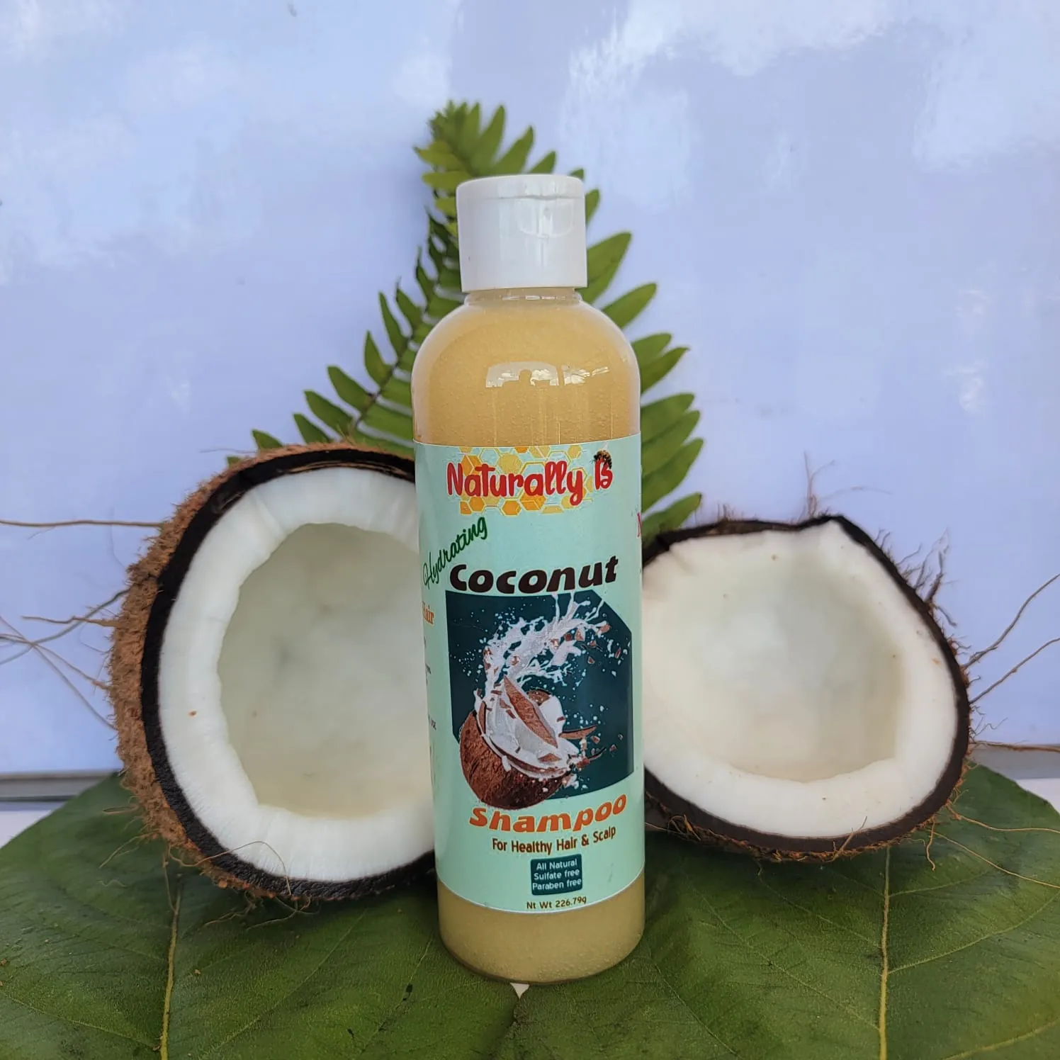 Naturally B Coconut Shampoo - Hydrating & Strengthening Formula - 236ml 2 Bottle of Naturally B coconut shampoo nestled on a leaf between 2 halves of a split coconut.